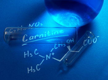 L-Carnitine Base左旋肉碱