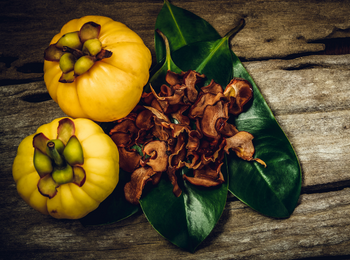 Garcinia Cambogia Ext.藤黄果