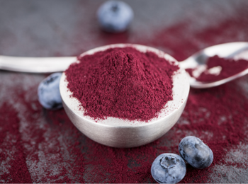 Blueberry 4:1 蓝莓