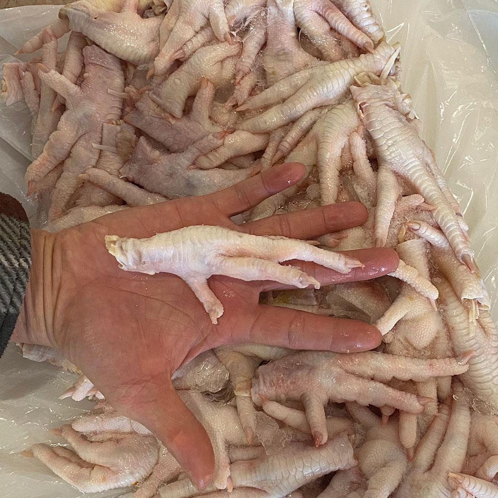 Frozen chicken paw “A” Grade Chicken