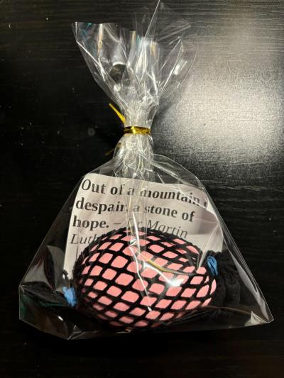 ACS project - Homemade Stress Balls