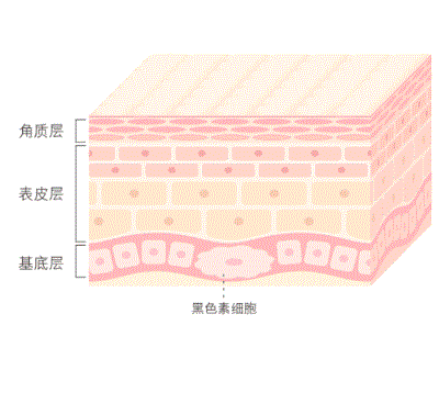 我就是黑了点 为啥大家都叫我 铁憨憨 ？