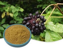 What is the effect of eleuthero on men's health?