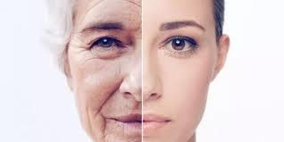 Antioxidant = Anti-aging?
