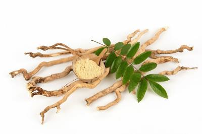 Why Tongkat Ali is important for Men?