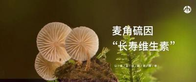 麦角硫因是什么？有什么作用？